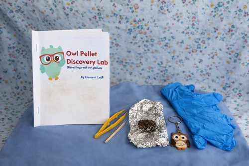 Owl Pellet Discovery Lab